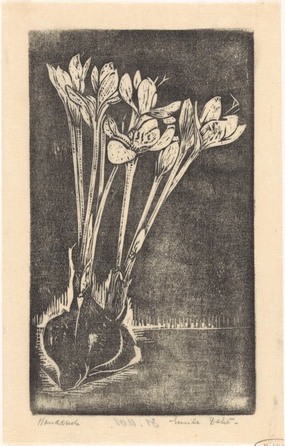 秋番红花 作者 Emilius Wilhelmus Dehé（艺术家签名）