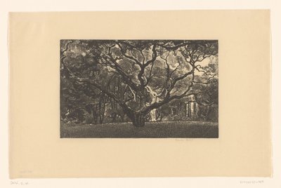 老树 作者 Emilius Wilhelmus Dehé（艺术家签名）