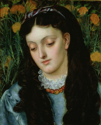美丽的壁花 作者 艾玛·桑迪斯（Emma Sandys）