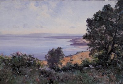 杜阿纳内斯 (Douarnenez) 小麦和树木 作者 伊曼纽尔·兰瑟（Emmanuel Lansyer）