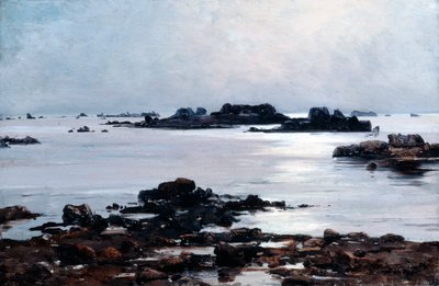 胜利岛（Ile de Sein），1884年 作者 伊曼纽尔·兰瑟（Emmanuel Lansyer）
