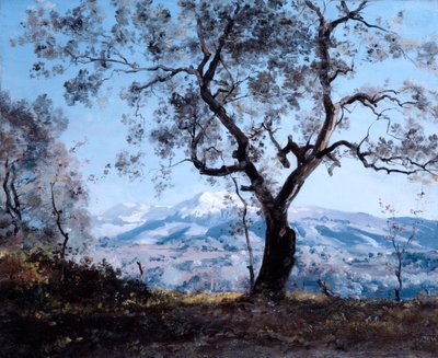 芒通周围地区，靠近罗克布伦，1892年 作者 伊曼纽尔·兰瑟（Emmanuel Lansyer）