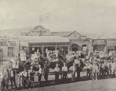 骆驼火车，Coolgardie，西澳大利亚 作者 英国摄影师