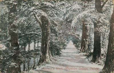Addisons Walk，Magdalen College，Oxford。明信片于1913年寄出。 作者 英国摄影师