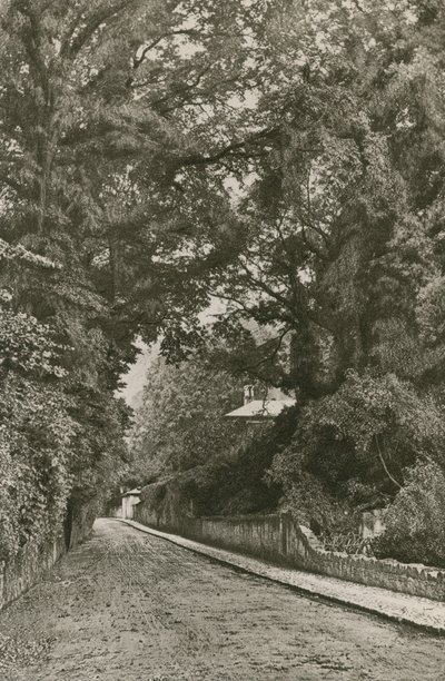 Bonchurch路，怀特岛 作者 英国摄影师