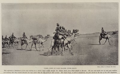 骆驼军团在上埃及的Wadi Halfeh 作者 英国摄影师