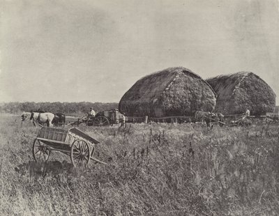 Canning Downs Station 作者 英国摄影师