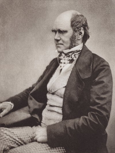 查尔斯-达尔文，肖像，约 1854 年，取自 Maull  Fox 拍摄的照片（黑白照片） 作者 英国摄影师