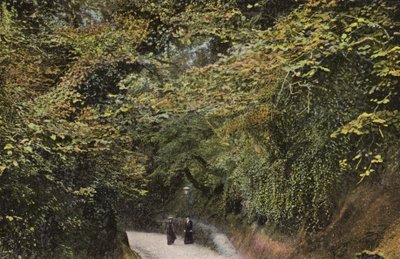 Chine Hollow，尚克林 作者 英国摄影师