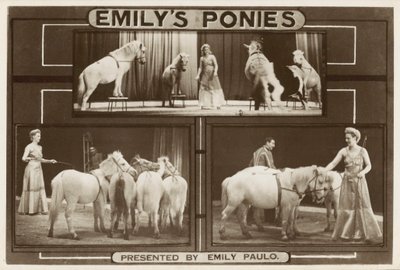 Emily Paulo 和她训练有素的表演小马（黑白照片） 作者 英国摄影师