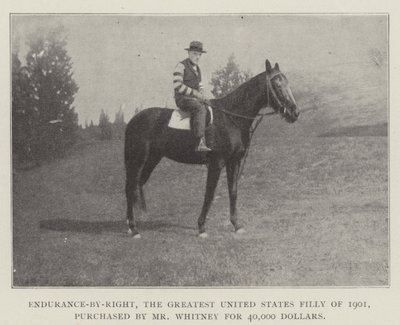 Enduit-Right，1901年最伟大的美国小说，由惠特尼先生以40,000美元购买 作者 英国摄影师