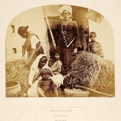 Grass Cutters，Hindoos，Madras，来自印度人民，由J. Forbes Watson出版，1868年出版（蛋白印刷） 作者 英国摄影师