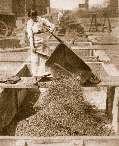 国外的英雄们为国外的英雄，1914-19 bw photo） 作者 英国摄影师