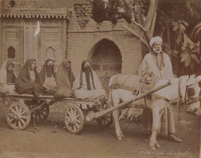 马车，开罗，1893年 作者 英国摄影师