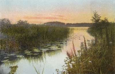 Hoveton Broad 作者 英国摄影师