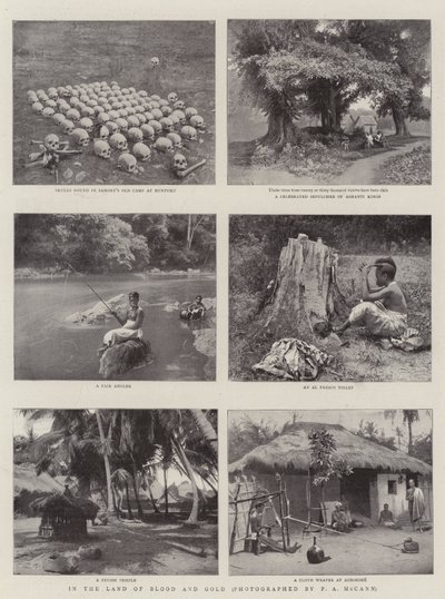 在血与金之地 作者 English Photographer
