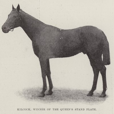 Kilcock，Queens Stand Plate的获胜者 作者 英国摄影师