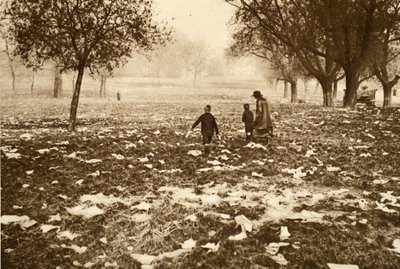 在银行假日后的第二天，在汉普斯特德希思（Hampstead Heath）散落的草地，来自奇妙的伦敦，出版于1926年至27年（照相凹版） 作者 英国摄影师