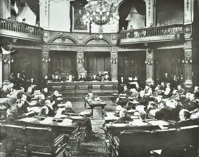 伦敦学校董事会，1895年 作者 英国摄影师