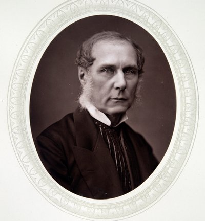 塞尔伯恩勋爵，Roundell Palmer 作者 英国摄影师