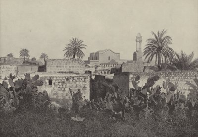 Lydda，旧约的古代Lodda，使徒保罗在那里恢复了生病的埃涅阿斯 作者 英国摄影师
