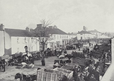 Abbeyleix的市场日 作者 英国摄影师