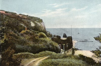 Bonchurch的Monks Bay 作者 英国摄影师