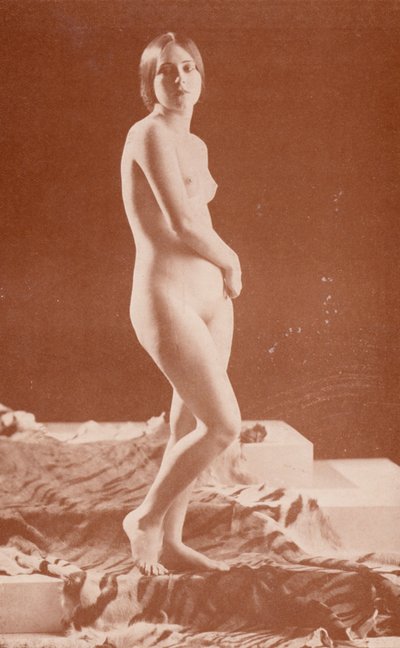 裸体艺术：虎女（黑白照片） 作者 英国摄影师