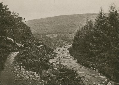 Bagworthy Water，Doone Valley的路径 作者 英国摄影师