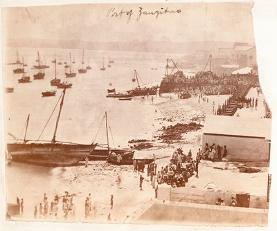 亨利·莫顿·斯坦利（Henry Morton Stanley）的专辑中的桑给巴尔港口 作者 英国摄影师