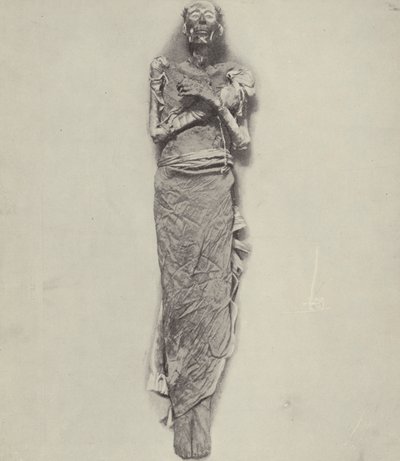 Rameses II，或称Rameses the Great，压迫以色列人的国王 作者 英国摄影师