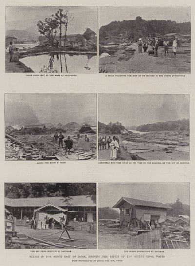 日本东北部的场景，显示了近期潮汐的影响 作者 英国摄影师
