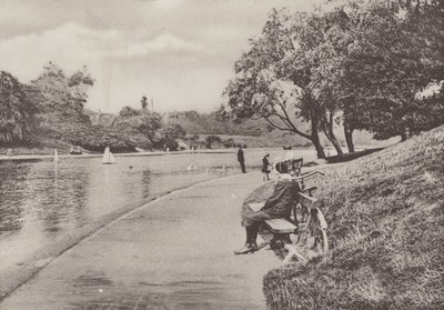 Sefton Park, Liverpool (b/w photo) 作者 英国摄影师