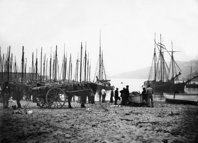 圣艾夫斯港望向卡比斯湾，1880-99 作者 英国摄影师