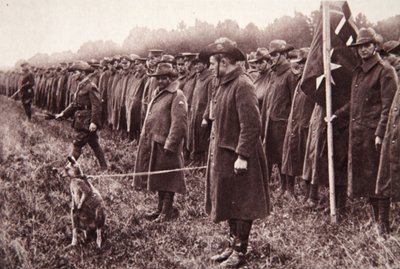 索尔兹伯里平原上的澳新军团评论：澳大利亚吉祥物，1916年9月27日“插图战争新闻”中的插图（棕褐色照片） 作者 英国摄影师