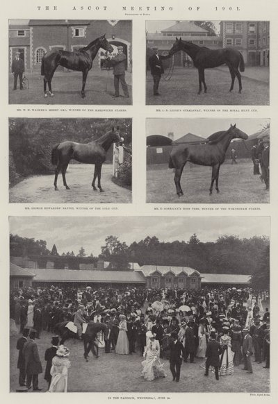 1901年的阿斯科特会议 作者 English Photographer
