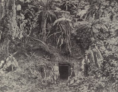 鲤鱼地区煤矿，靠近Yippragon，Gippsland 作者 英国摄影师