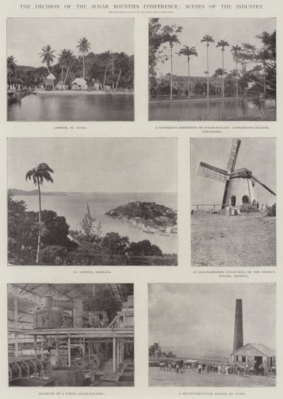 糖赏奖会议决定，行业场景 作者 English Photographer