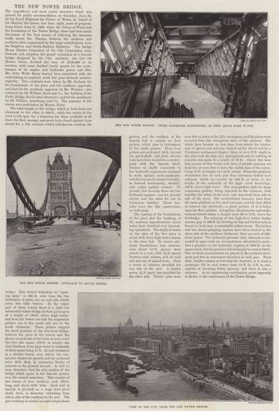 新塔桥 作者 English Photographer