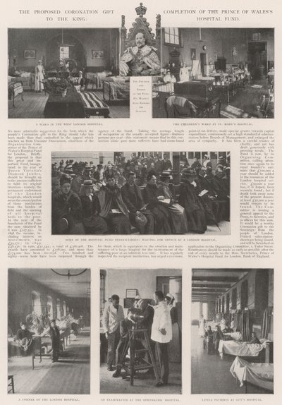 向国王提出加冕礼物，瓦利斯王子医院基金完成 作者 English Photographer