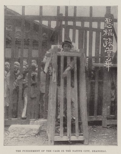 上海本土城市笼子的惩罚 作者 英国摄影师