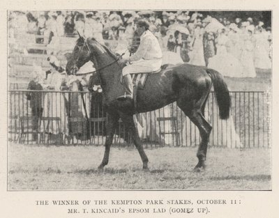 10月11日，肯普顿公园赌场的获胜者，T Kincaids Epsom Lad先生（Gomez up） 作者 英国摄影师