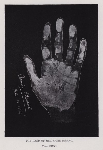 The hand of Mrs Annie Besant (b/w photo) 作者 英国摄影师