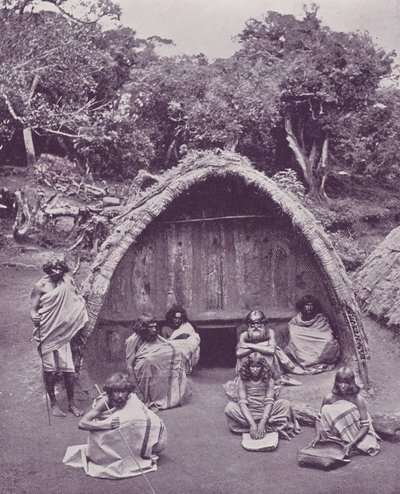 托达斯在家里 作者 英国摄影师