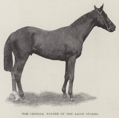 Tom Cringle，Ascot Stakes的获胜者 作者 英国摄影师