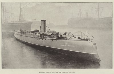鱼雷船79号，舰队在Spithead 作者 英国摄影师