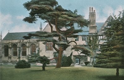瓦德姆学院 作者 英国摄影师