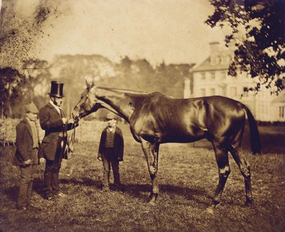 Wild Dayrell，1856年德比大赛冠军 作者 英国摄影师