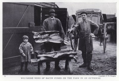 Wiltshire sides of bacon cured on the farm in an outhouse (b/w photo) 作者 英国摄影师
