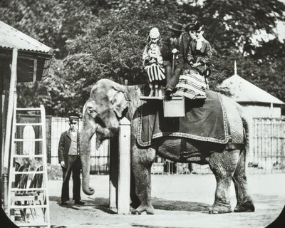 动物园，动物公园：大象与成人和儿童搭车，伦敦动物园，1894年 作者 英国摄影师